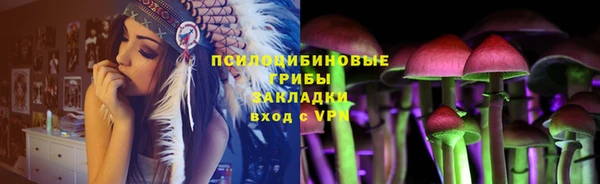 индика Арсеньев
