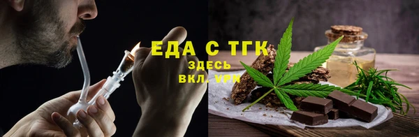 индика Арсеньев