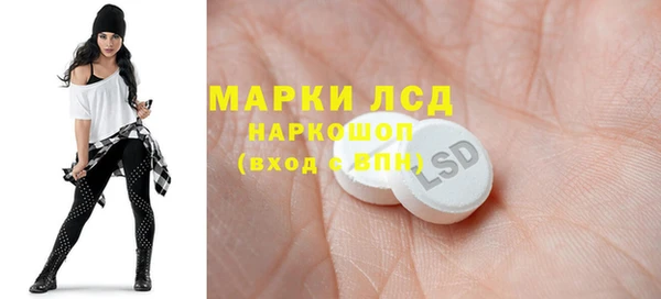 индика Арсеньев