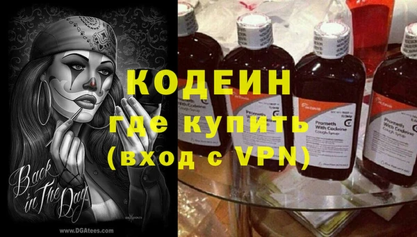 индика Арсеньев