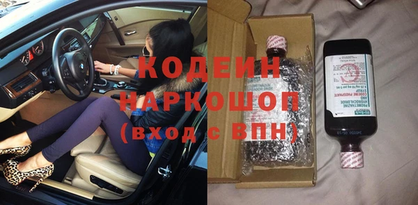 индика Арсеньев