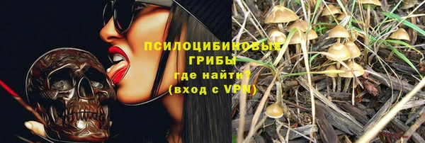 индика Арсеньев