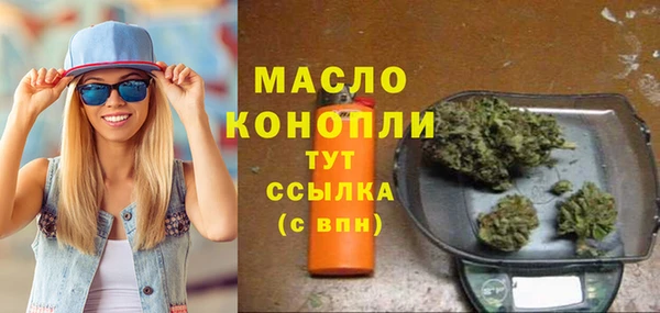 индика Арсеньев