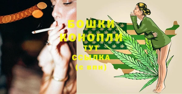 трава Аркадак