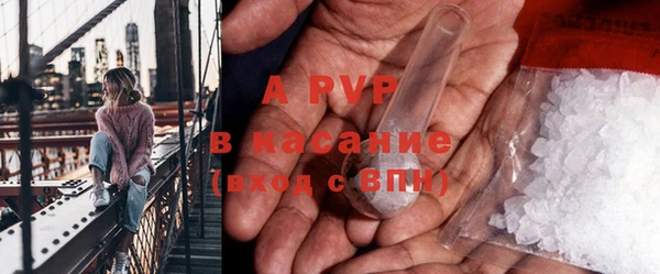 индика Арсеньев