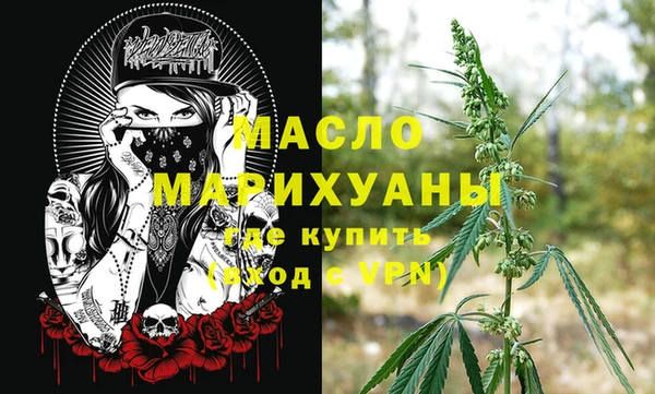 индика Арсеньев
