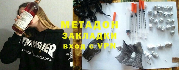 индика Арсеньев
